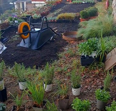 CarretillaPlantas